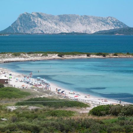 Locazione Turistica Villa Fiorita - TEO115 San Teodoro  Esterno foto