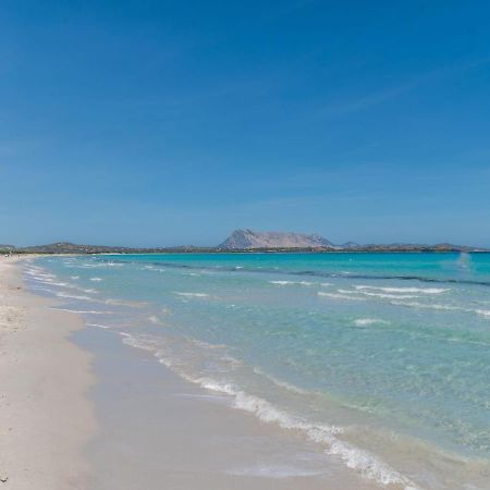 Locazione Turistica Villa Fiorita - TEO115 San Teodoro  Esterno foto