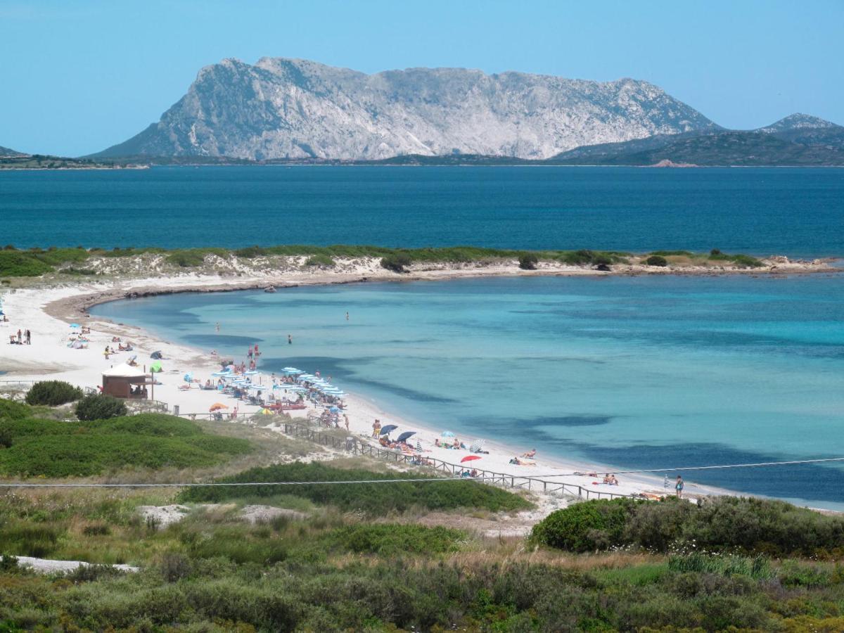 Locazione Turistica Villa Fiorita - TEO115 San Teodoro  Esterno foto